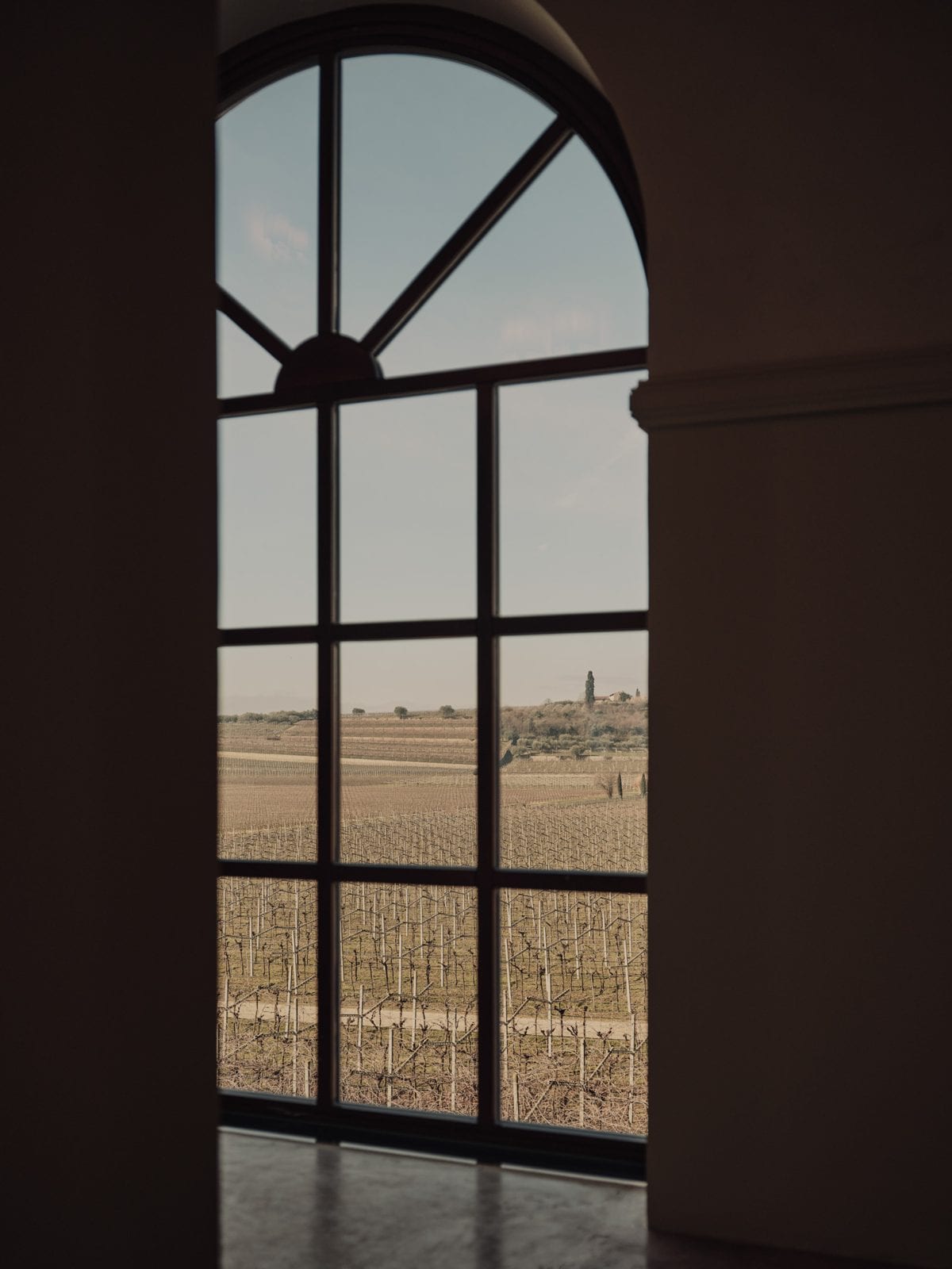Le finestre sui vigneti